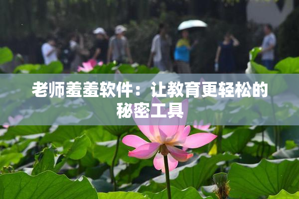 老师羞羞软件：让教育更轻松的秘密工具