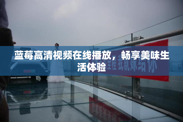 蓝莓高清视频在线播放，畅享美味生活体验