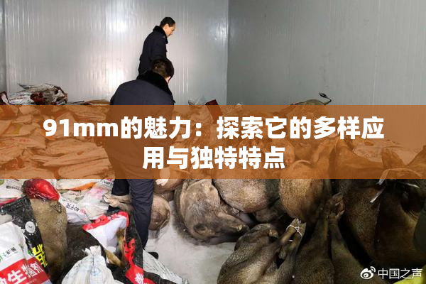 91mm的魅力：探索它的多样应用与独特特点