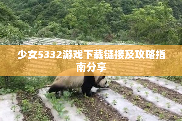 少女5332游戏下载链接及攻略指南分享