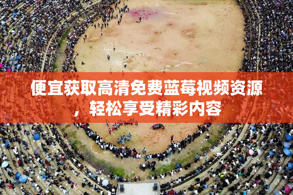 便宜获取高清免费蓝莓视频资源，轻松享受精彩内容