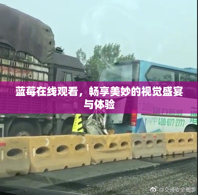 蓝莓在线观看，畅享美妙的视觉盛宴与体验