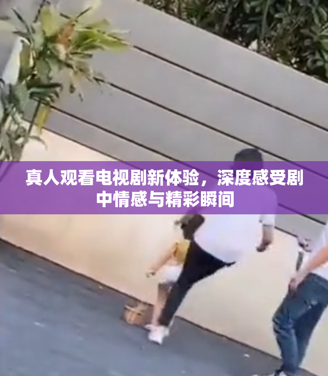 真人观看电视剧新体验，深度感受剧中情感与精彩瞬间