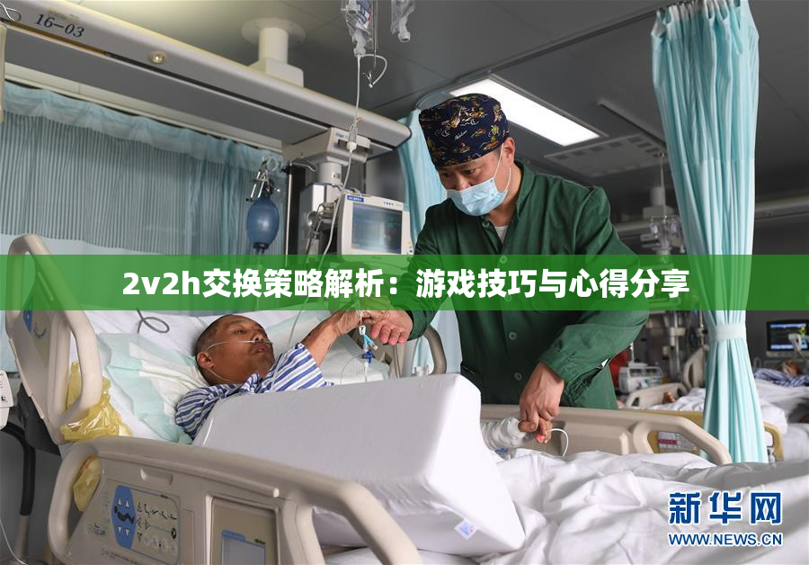 2v2h交换策略解析：游戏技巧与心得分享