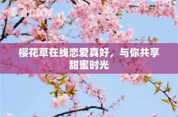 樱花草在线恋爱真好，与你共享甜蜜时光