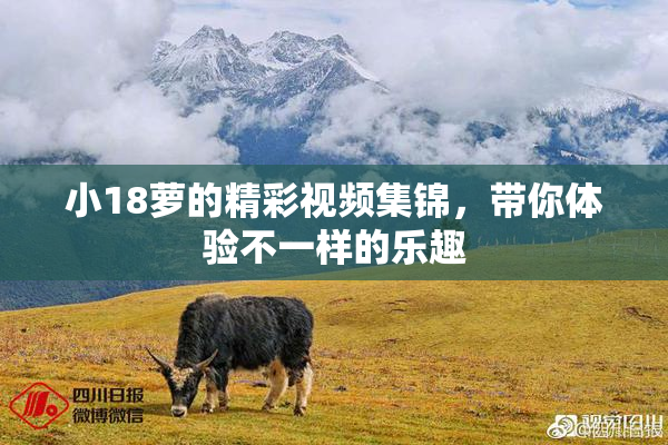 小18萝的精彩视频集锦，带你体验不一样的乐趣