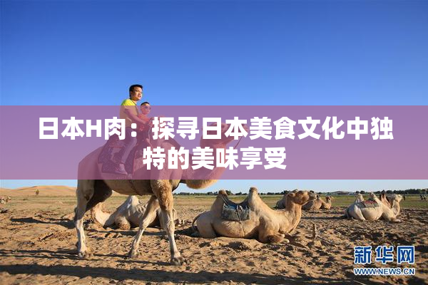 日本H肉：探寻日本美食文化中独特的美味享受