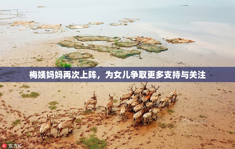 梅姨妈妈再次上阵，为女儿争取更多支持与关注