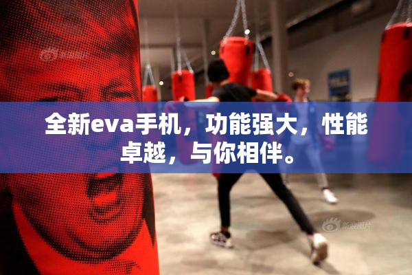 全新eva手机，功能强大，性能卓越，与你相伴。