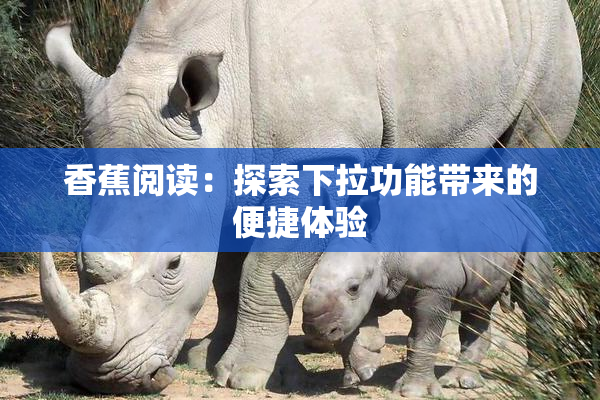 香蕉阅读：探索下拉功能带来的便捷体验