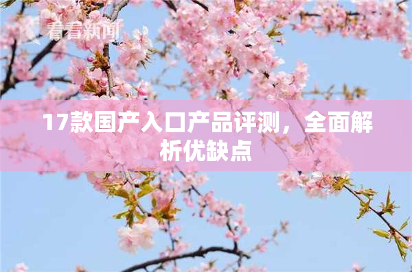 17款国产入口产品评测，全面解析优缺点