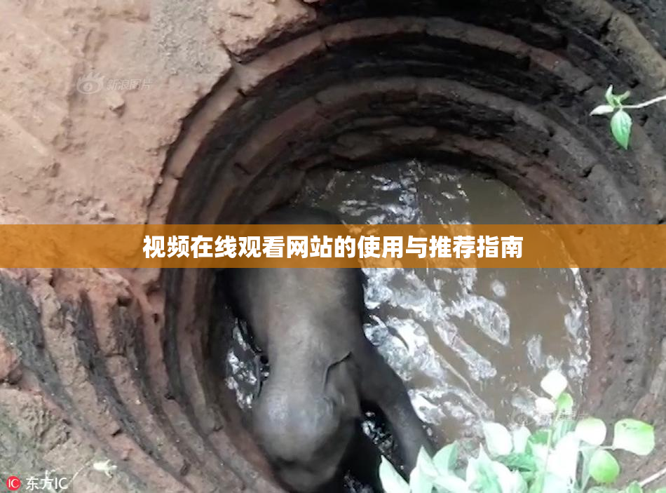视频在线观看网站的使用与推荐指南