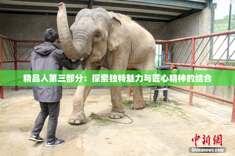 精品人第三部分：探索独特魅力与匠心精神的结合
