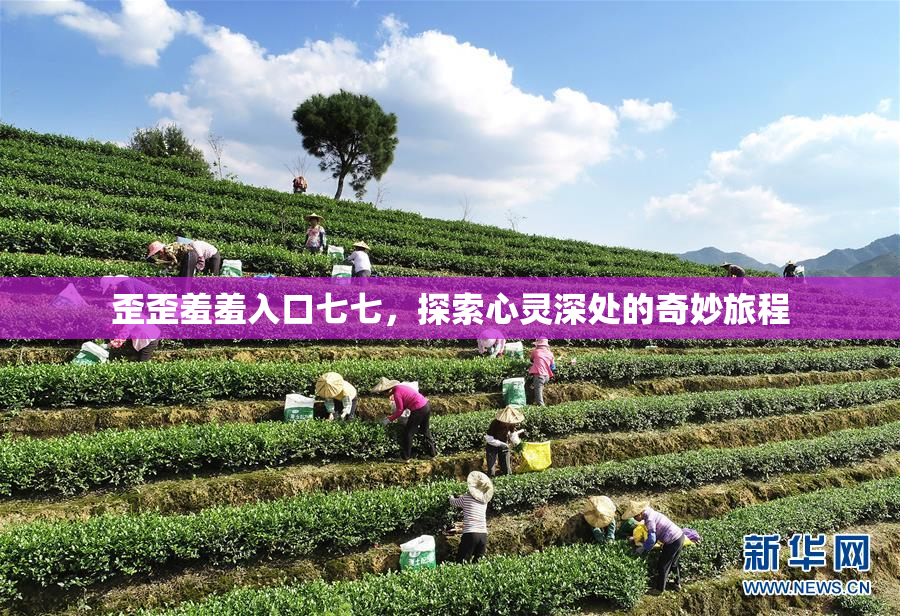 歪歪羞羞入口七七，探索心灵深处的奇妙旅程