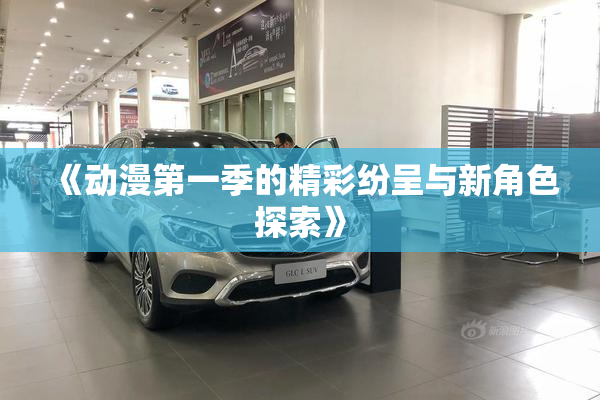 《动漫第一季的精彩纷呈与新角色探索》