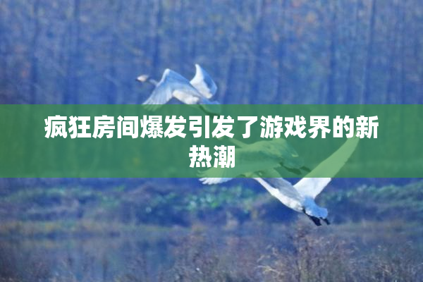 疯狂房间爆发引发了游戏界的新热潮