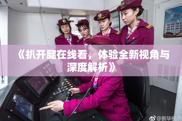 《扒开腿在线看，体验全新视角与深度解析》