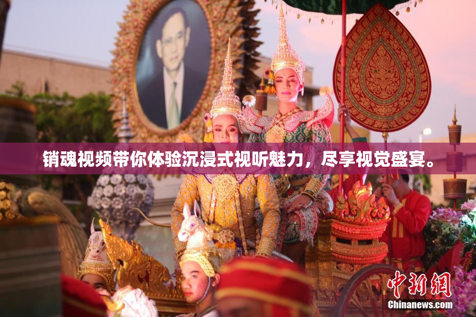 销魂视频带你体验沉浸式视听魅力，尽享视觉盛宴。