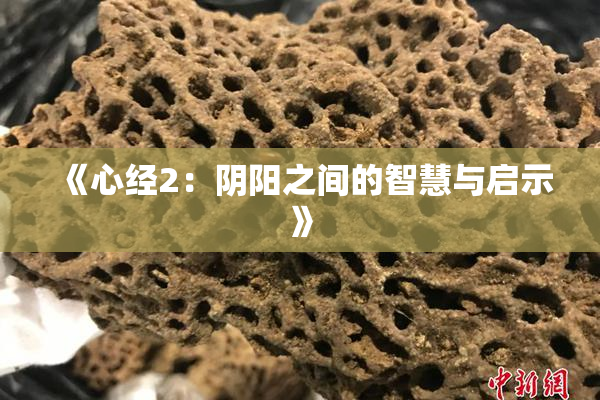 《心经2：阴阳之间的智慧与启示》