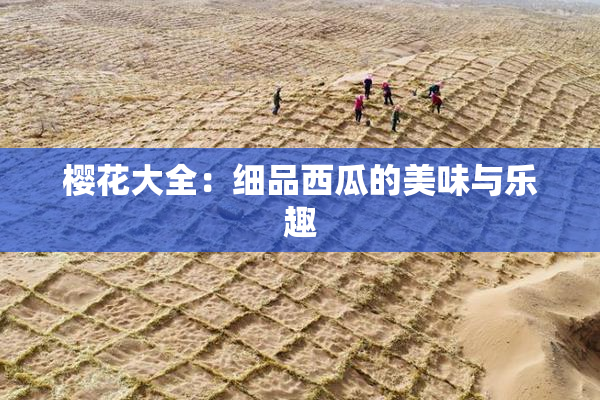 樱花大全：细品西瓜的美味与乐趣