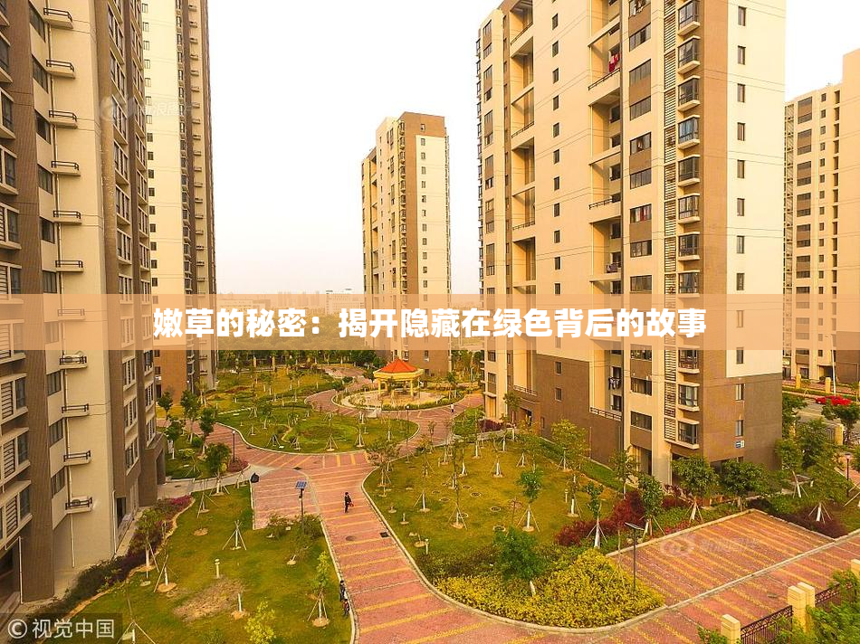 嫩草的秘密：揭开隐藏在绿色背后的故事