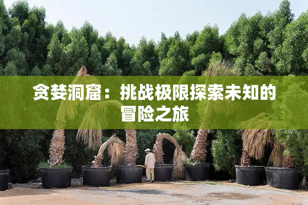 贪婪洞窟：挑战极限探索未知的冒险之旅
