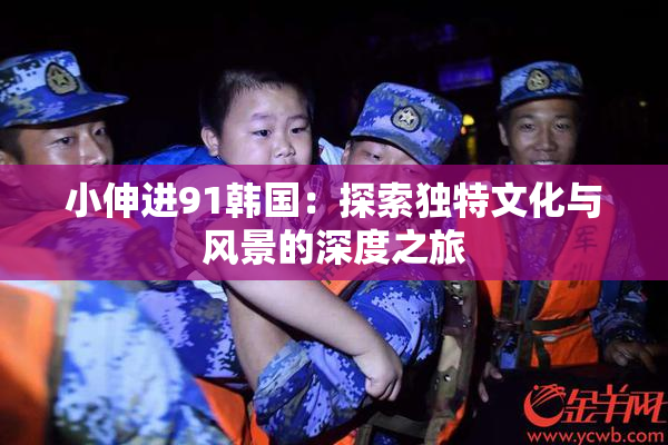 小伸进91韩国：探索独特文化与风景的深度之旅