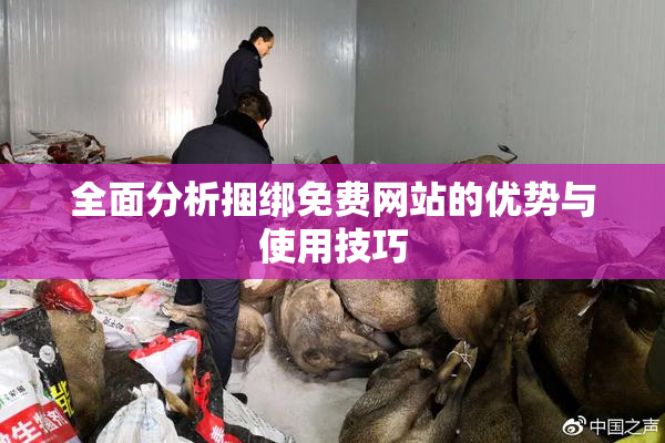 全面分析捆绑免费网站的优势与使用技巧