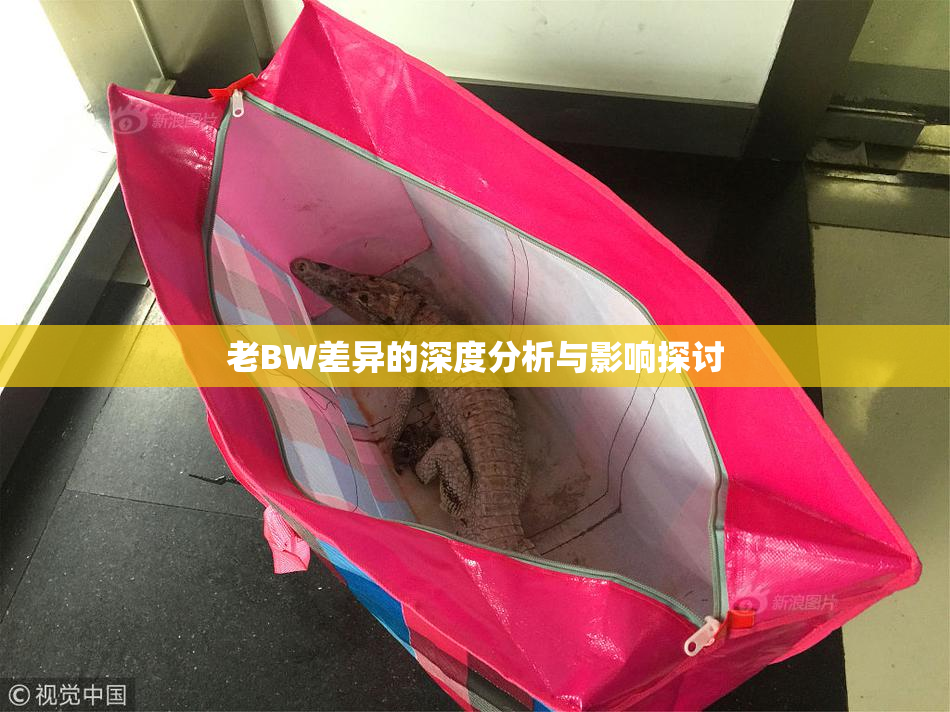 老BW差异的深度分析与影响探讨
