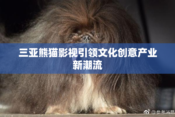 三亚熊猫影视引领文化创意产业新潮流
