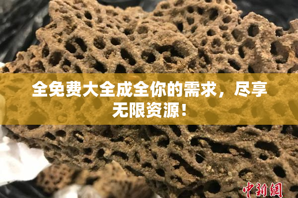 全免费大全成全你的需求，尽享无限资源！