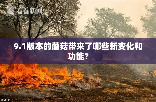9.1版本的蘑菇带来了哪些新变化和功能？