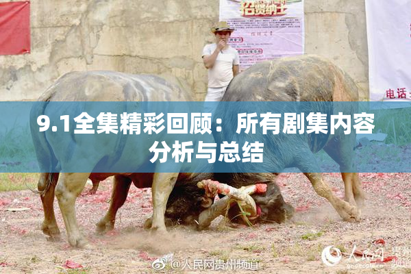 9.1全集精彩回顾：所有剧集内容分析与总结