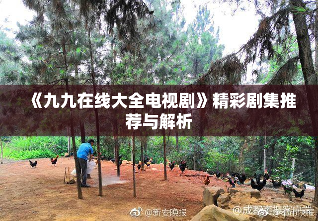 《九九在线大全电视剧》精彩剧集推荐与解析