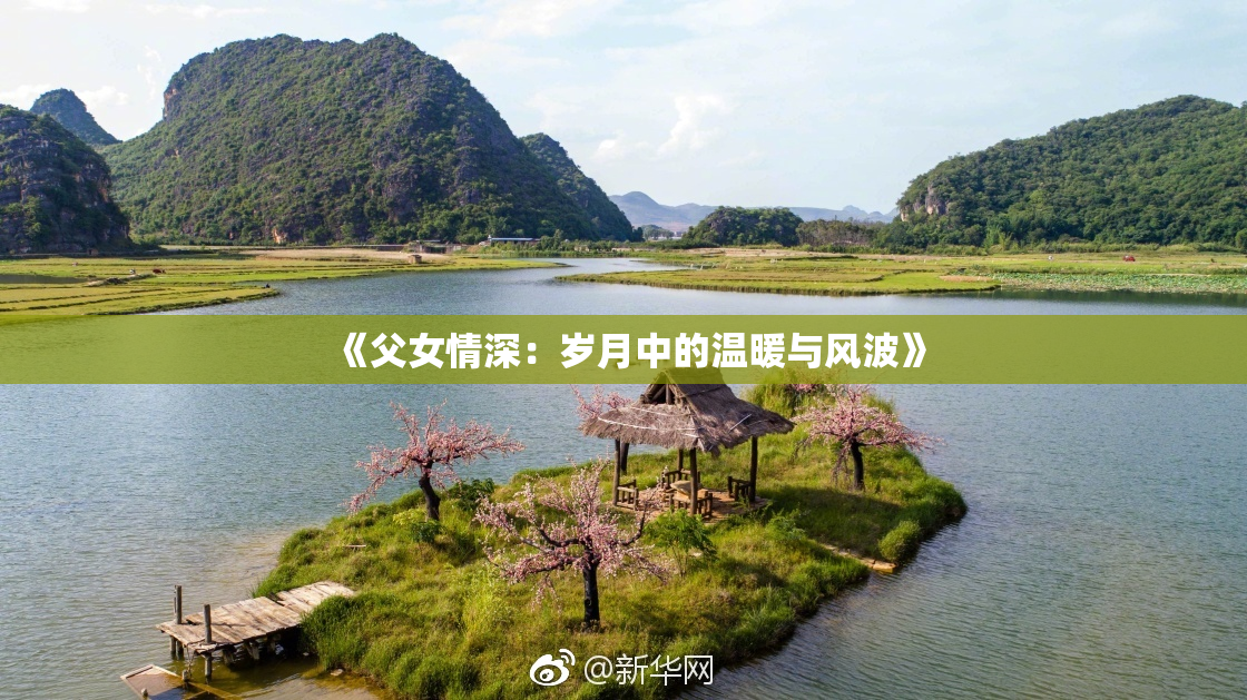 《父女情深：岁月中的温暖与风波》