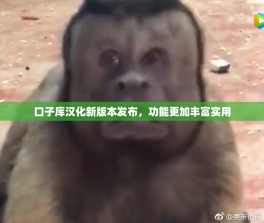 口子库汉化新版本发布，功能更加丰富实用