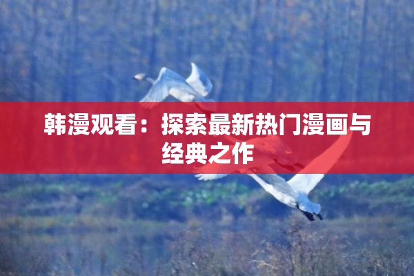 韩漫观看：探索最新热门漫画与经典之作