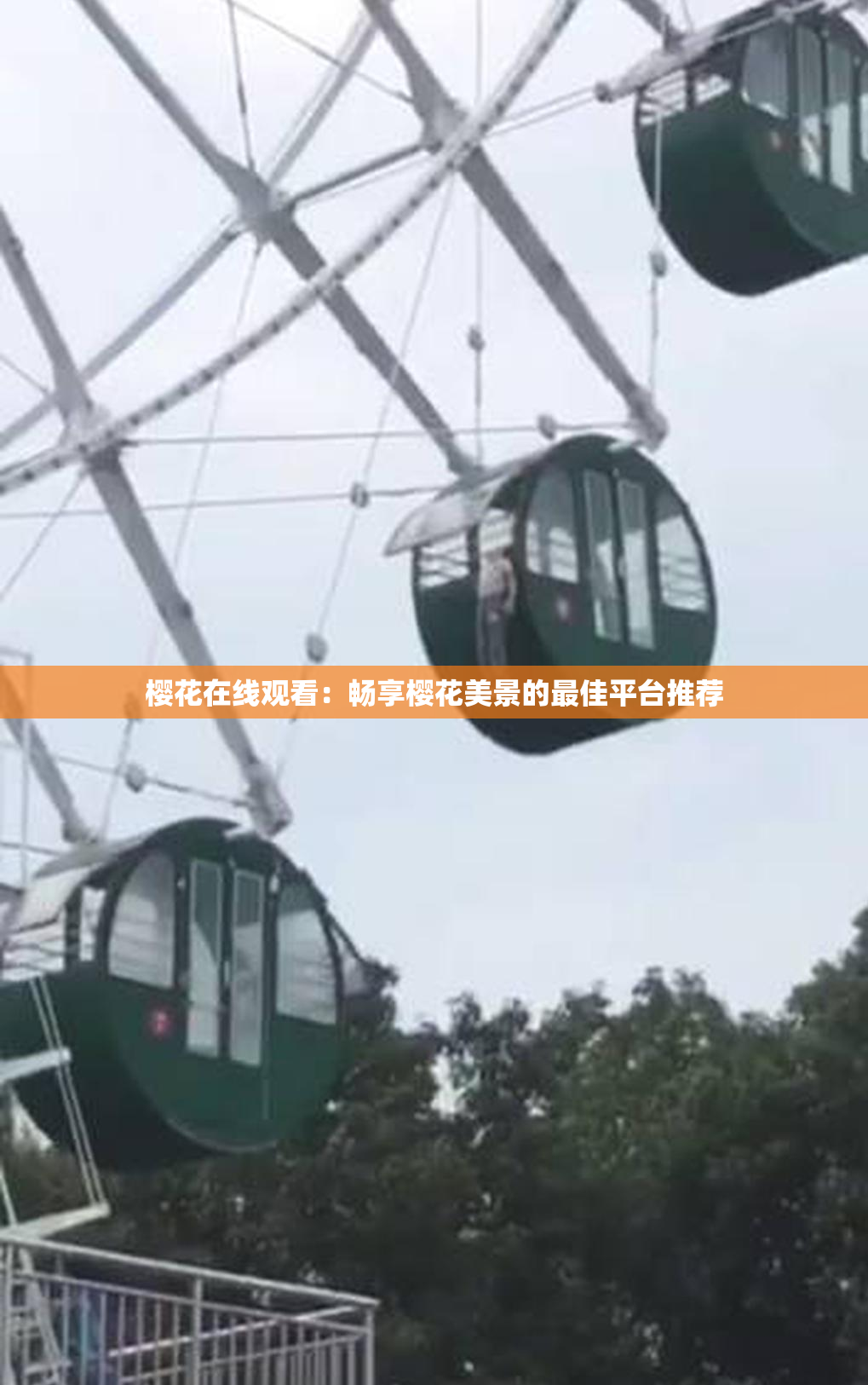 樱花在线观看：畅享樱花美景的最佳平台推荐