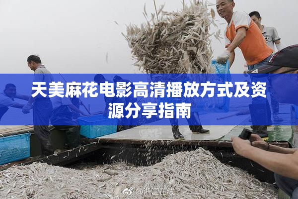 天美麻花电影高清播放方式及资源分享指南
