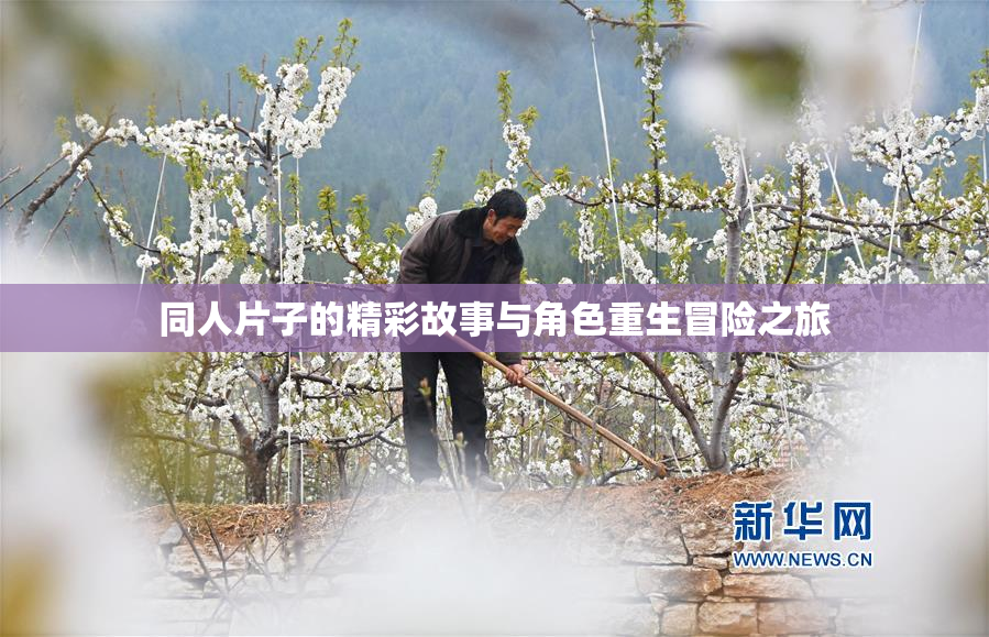 同人片子的精彩故事与角色重生冒险之旅