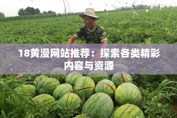 18黄漫网站推荐：探索各类精彩内容与资源