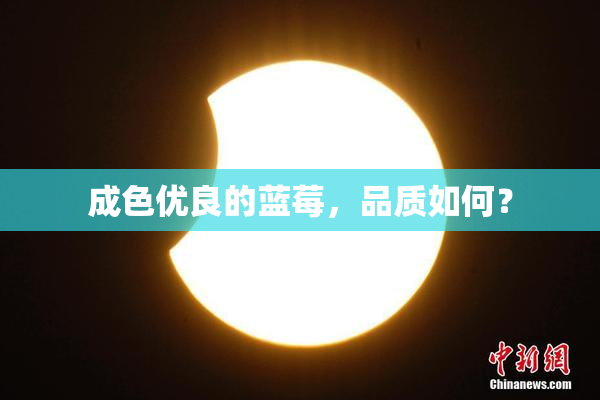 成色优良的蓝莓，品质如何？
