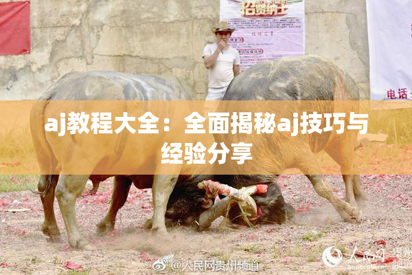 aj教程大全：全面揭秘aj技巧与经验分享
