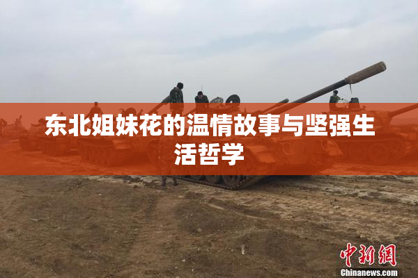 东北姐妹花的温情故事与坚强生活哲学