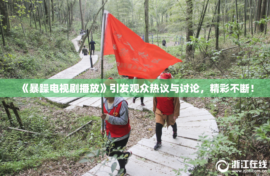 《暴躁电视剧播放》引发观众热议与讨论，精彩不断！