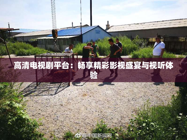 高清电视剧平台：畅享精彩影视盛宴与视听体验