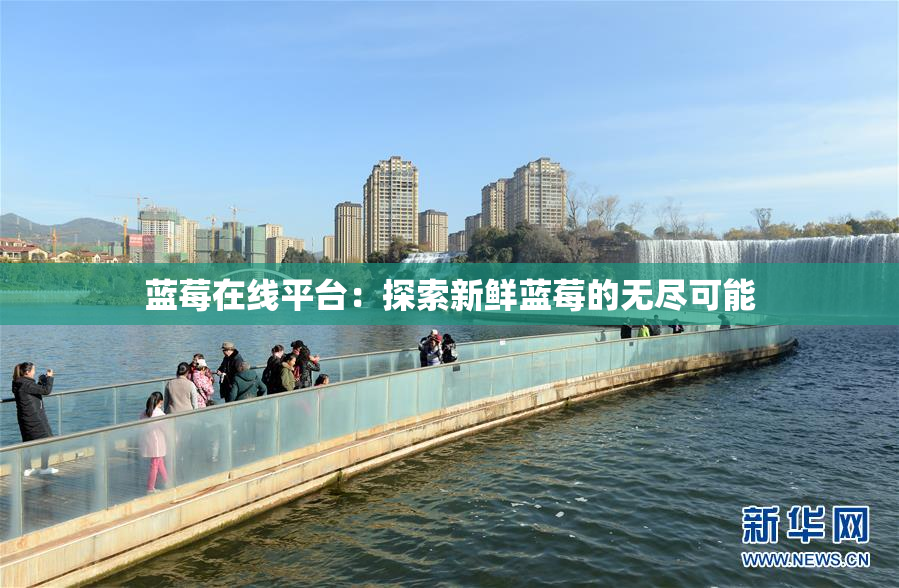 蓝莓在线平台：探索新鲜蓝莓的无尽可能