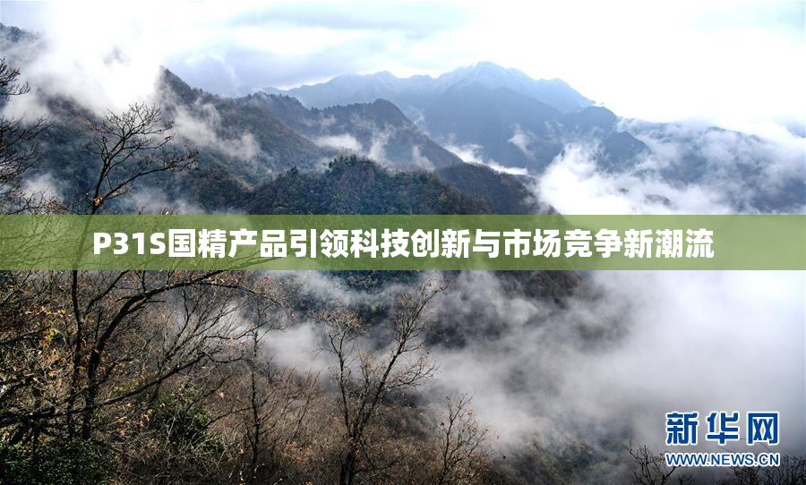 P31S国精产品引领科技创新与市场竞争新潮流