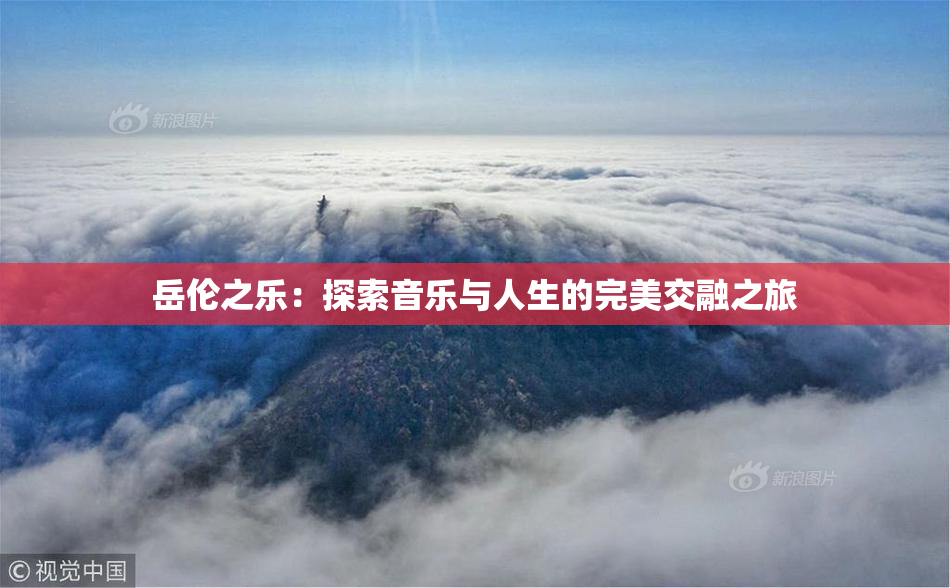 岳伦之乐：探索音乐与人生的完美交融之旅