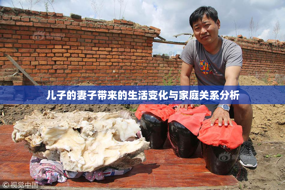 儿子的妻子带来的生活变化与家庭关系分析